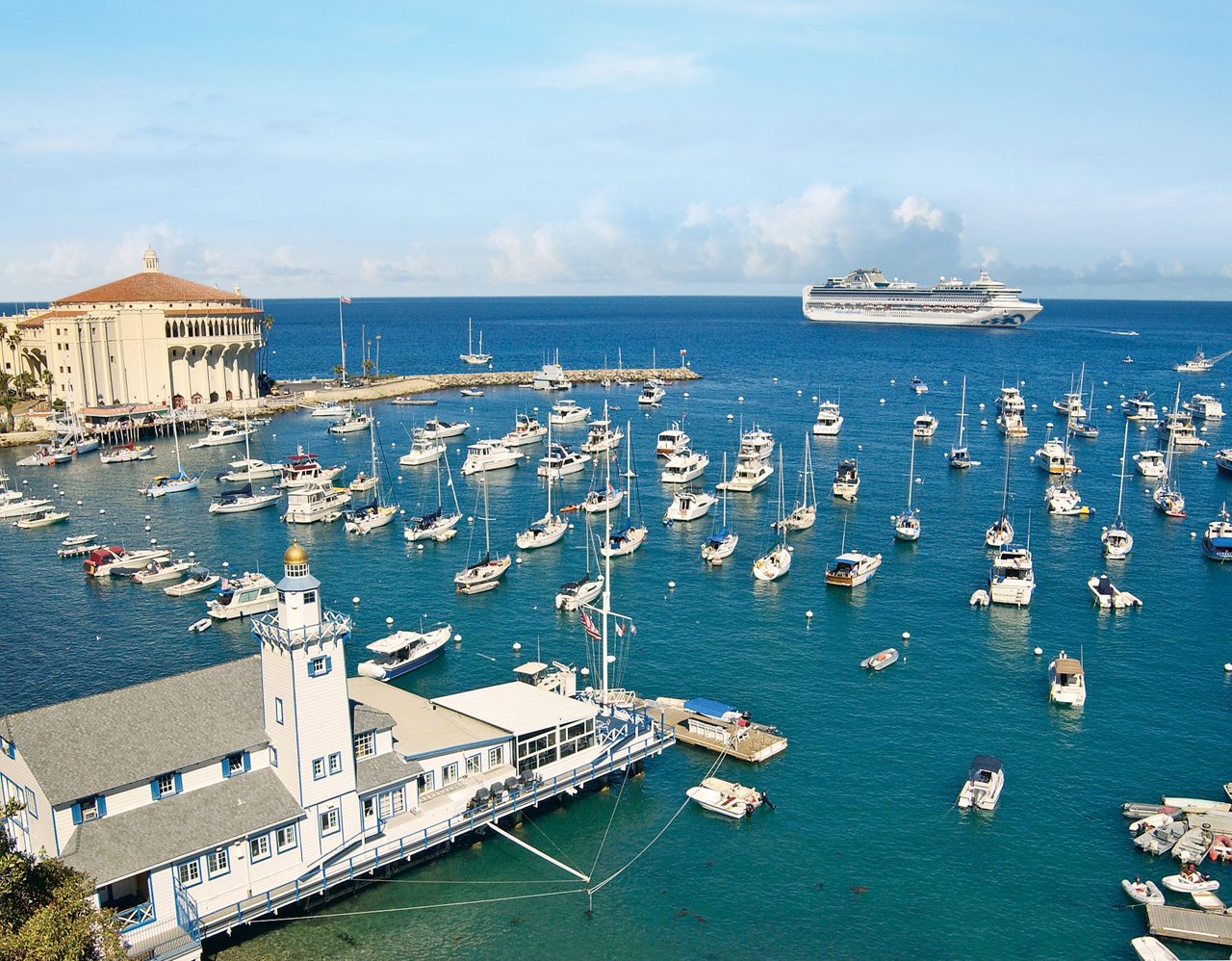 princess ship in catalina california harbor