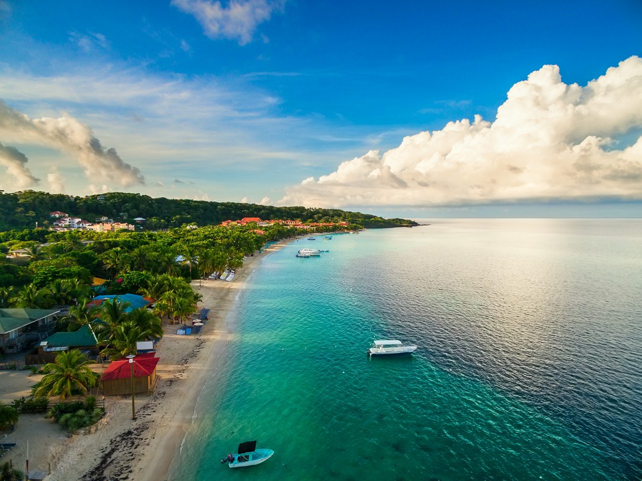 Roatán shoreline with anchored boats in water.