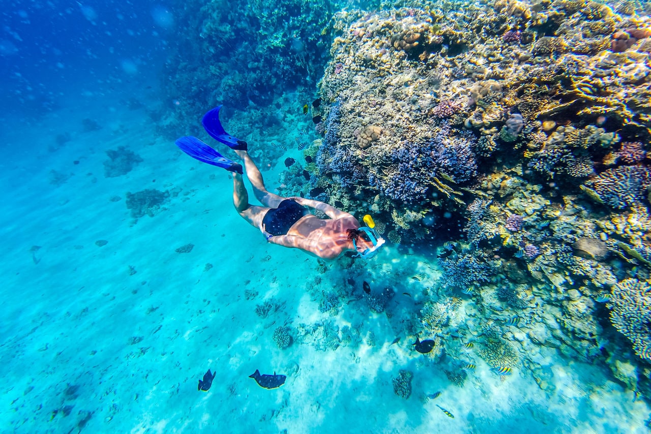 A snorkeler wearing blue fins and a yellow snorkel explores a coral reef in Roatán, Honduras, surrounded by clear turquoise water.