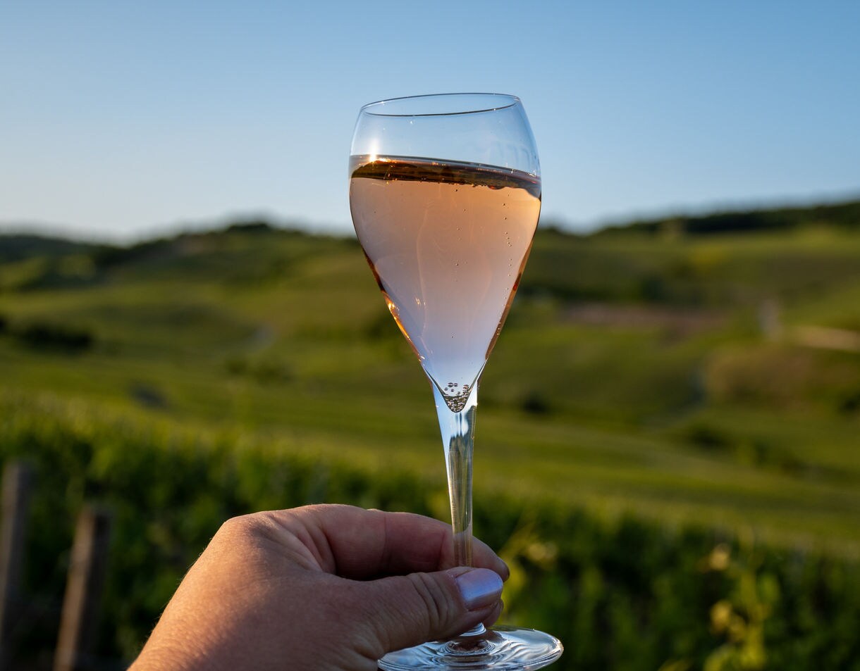 A hand holding a glass of pale rosé wine outdoors, with sunlit green vineyards and soft hills blurred in the background.