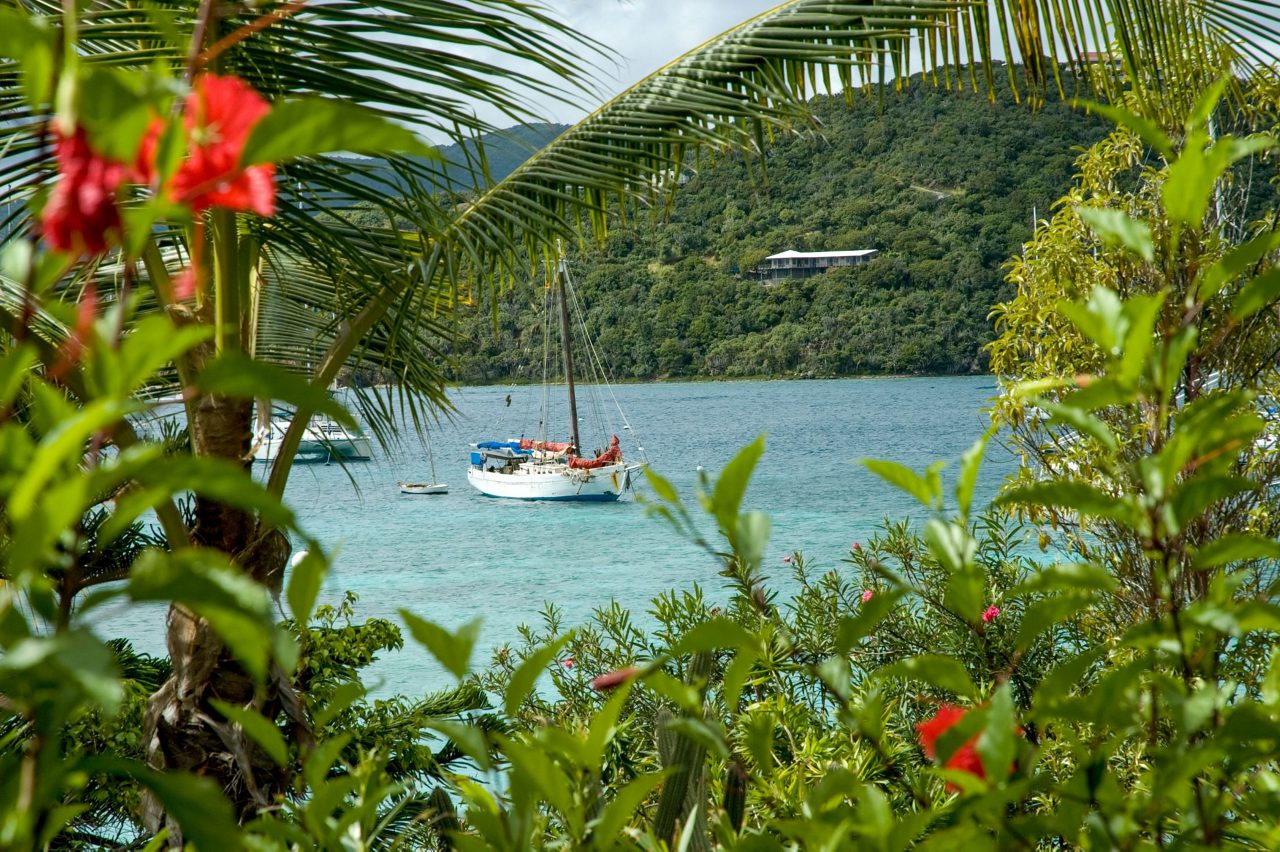 A white sailboat anchored in turquoise waters viewed through tropical foliage with red hibiscus flowers, palm fronds, and green hills in the background on Tortola.