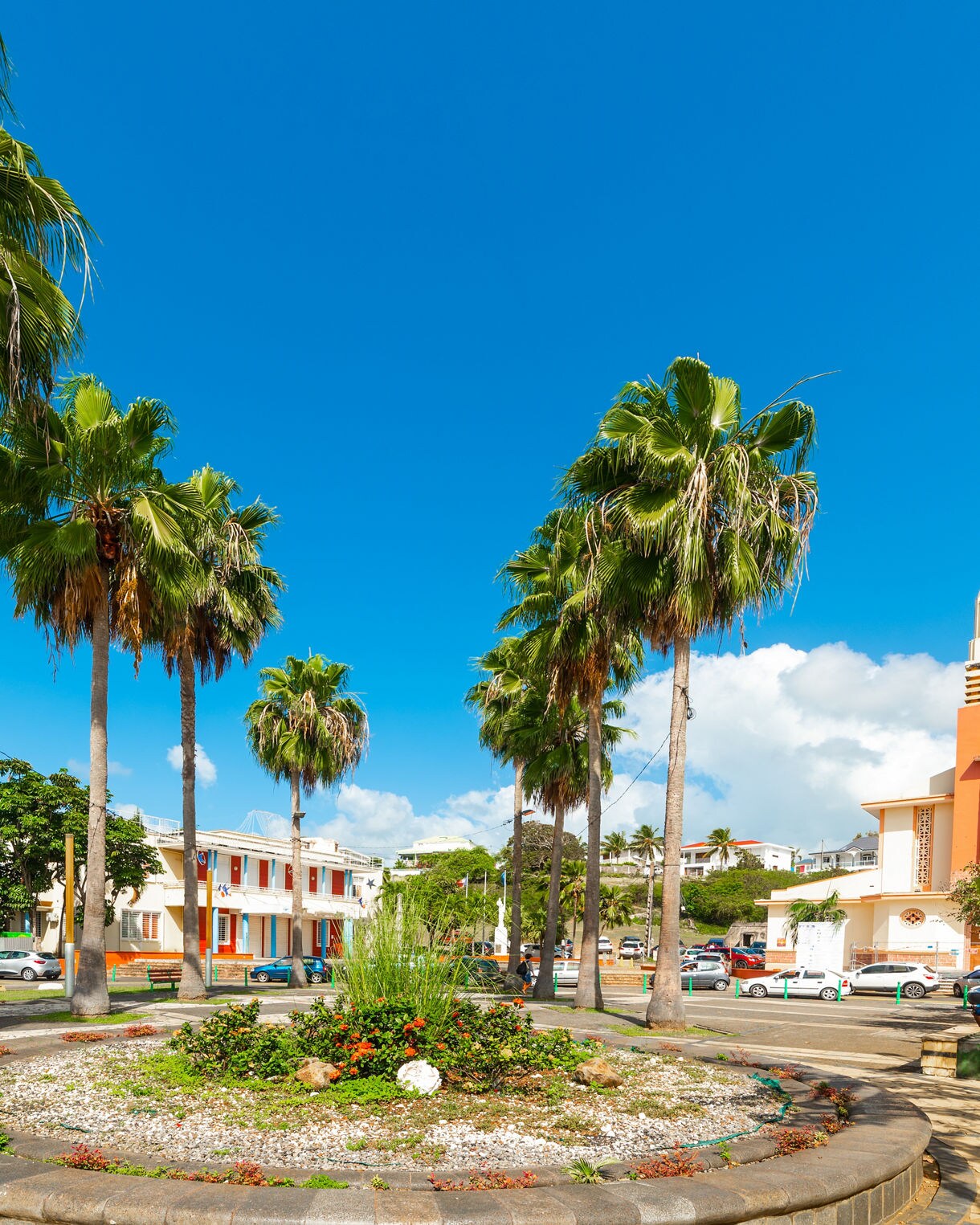 A serene tropical beach in Sainte-Anne, Guadeloupe featuring clear turquoise waters, a sandy shoreline lined with palm trees and a bright blue sky with scattered clouds.