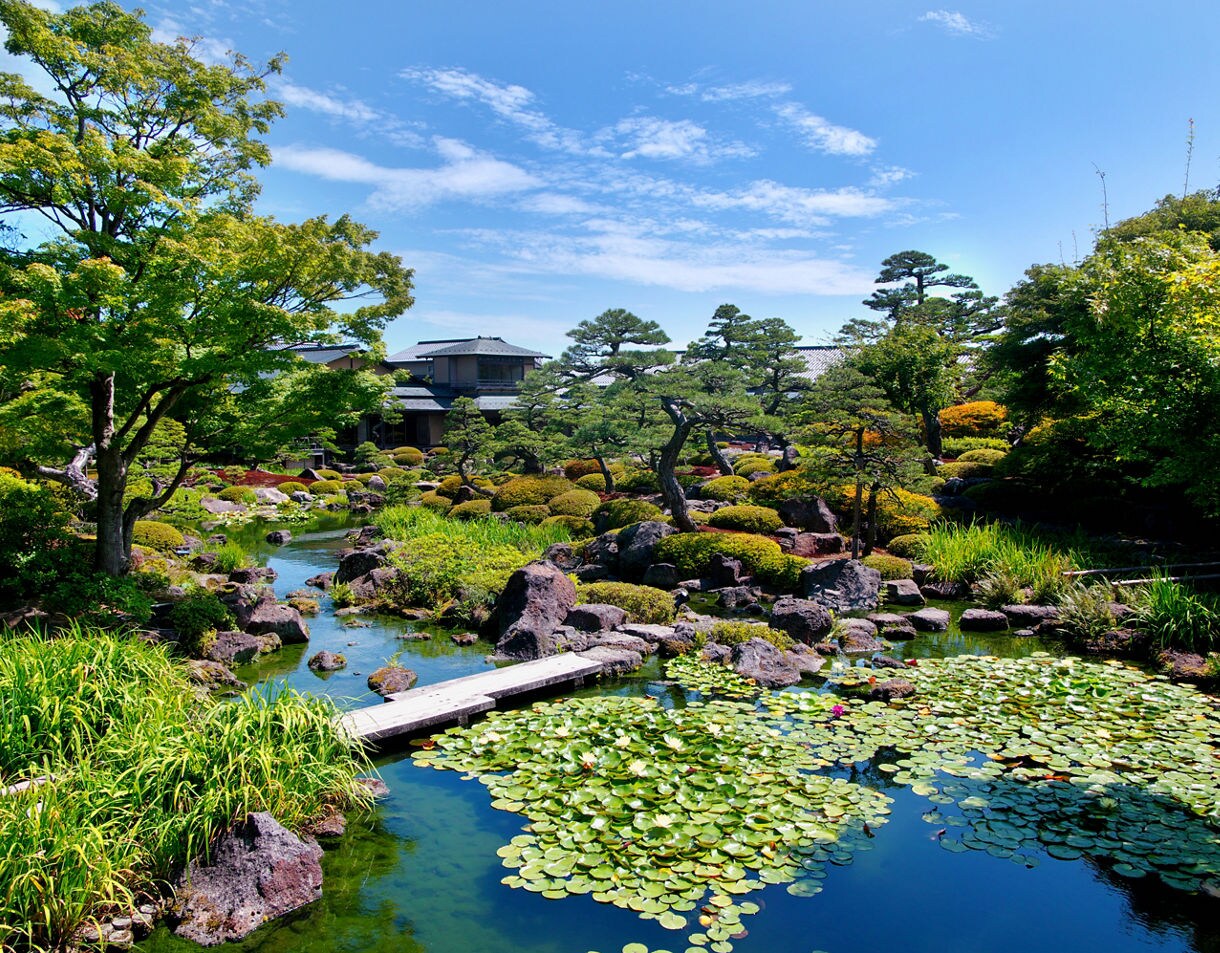 Lush Japanese garden with a pond filled with lily pads, stone bridges, manicured trees and vibrant greenery under a sunny sky.
