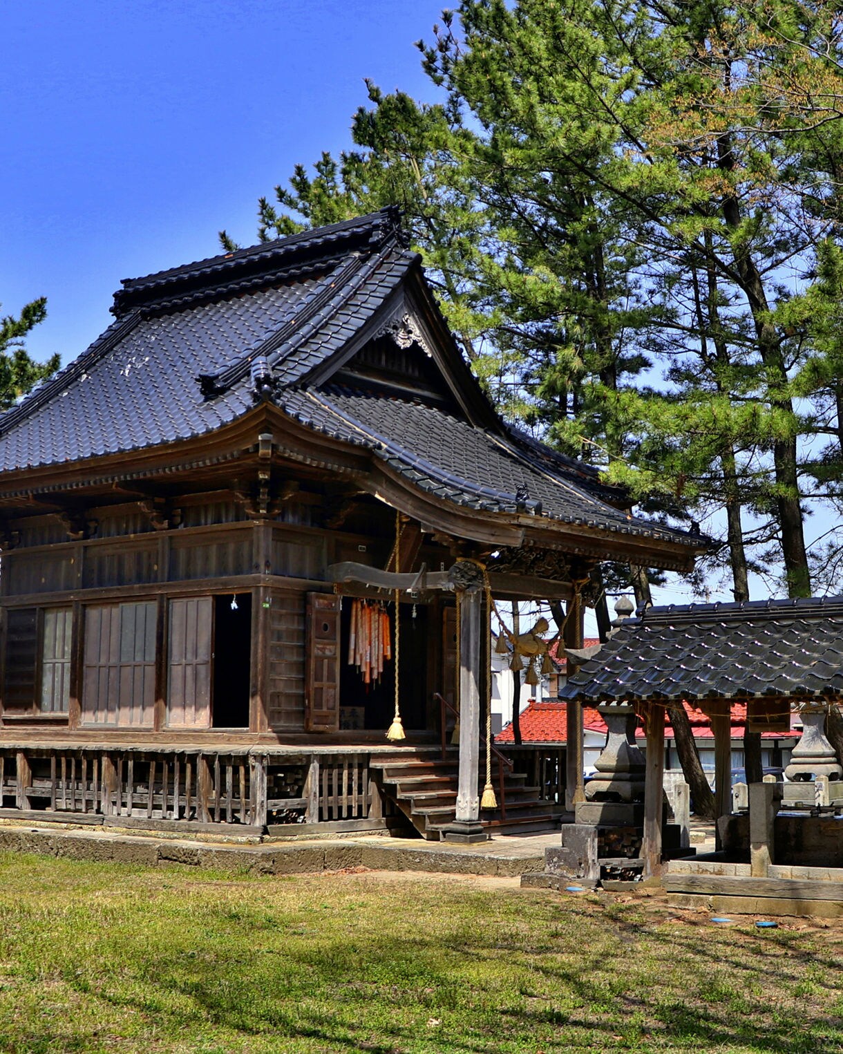 Traditional wooden shrine with a tiled roof set in a grassy courtyard surrounded by pine trees.