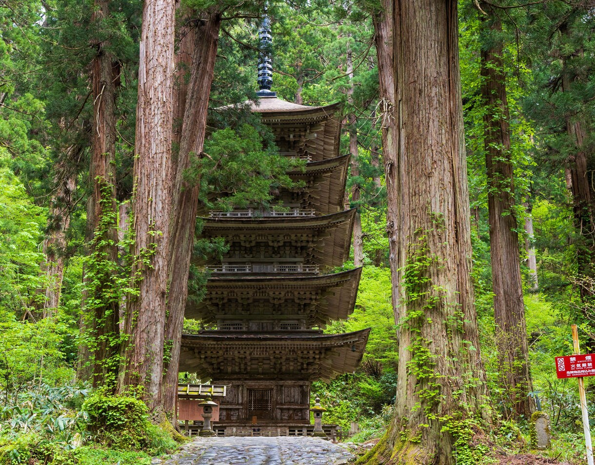 Tall wooden pagoda surrounded by towering cedar trees and lush green forest on Mt. Haguro.