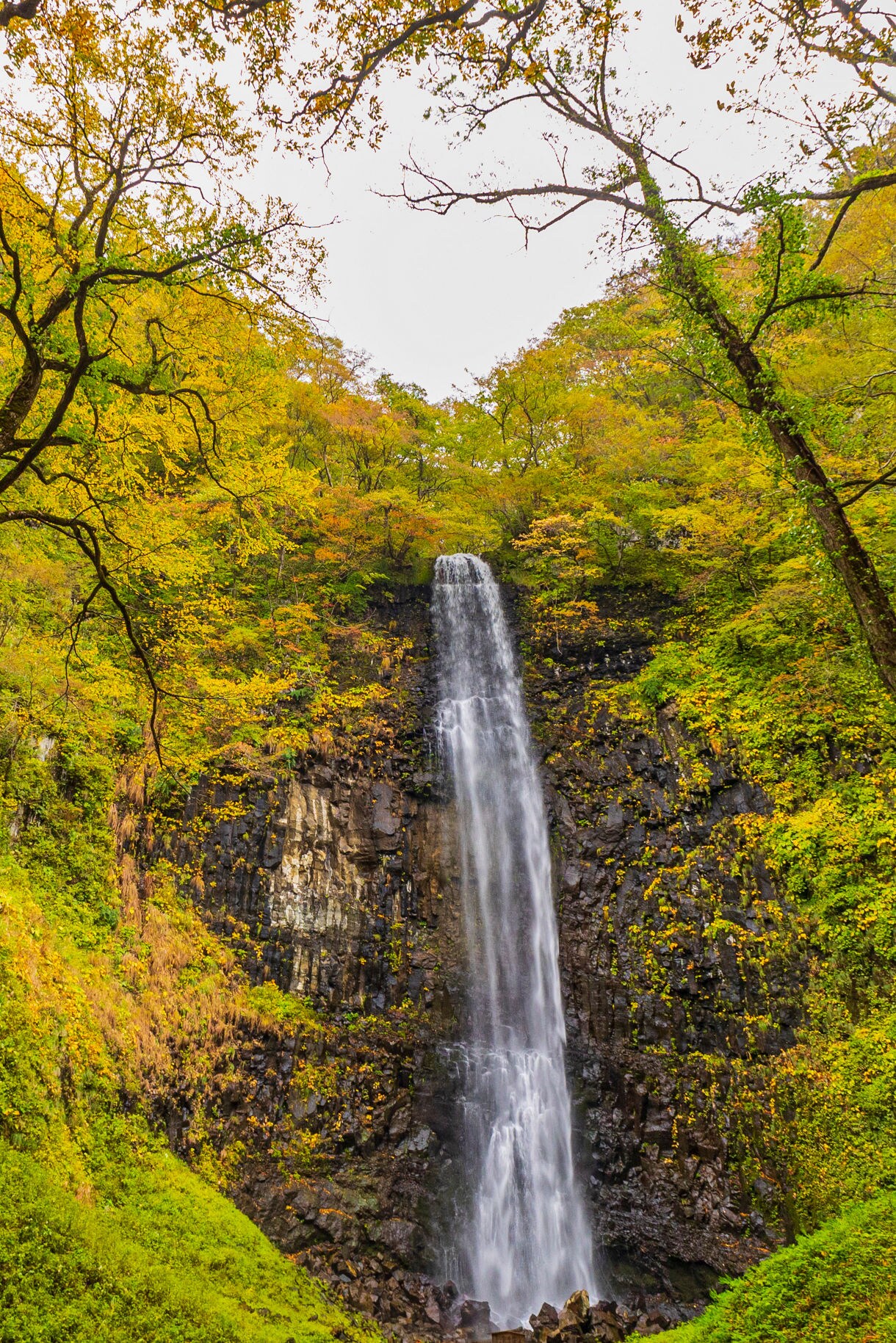 A scenic waterfall cascades down a rocky cliff surrounded by vibrant autumn foliage in golden and green hues, framed by tree branches against a clear sky.