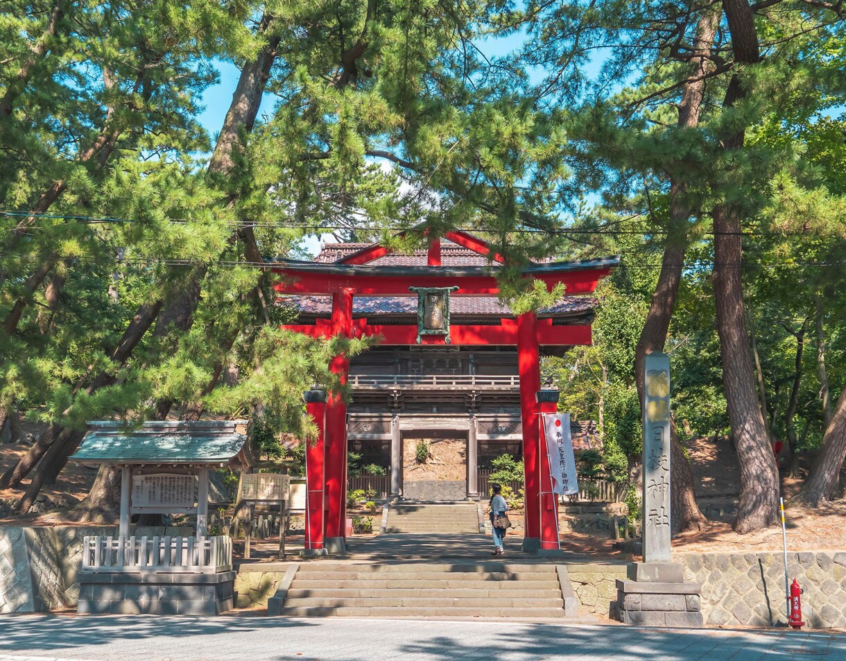 Bright red torii gate and wooden shrine entrance nestled among tall pine trees in Sakata, Japan.