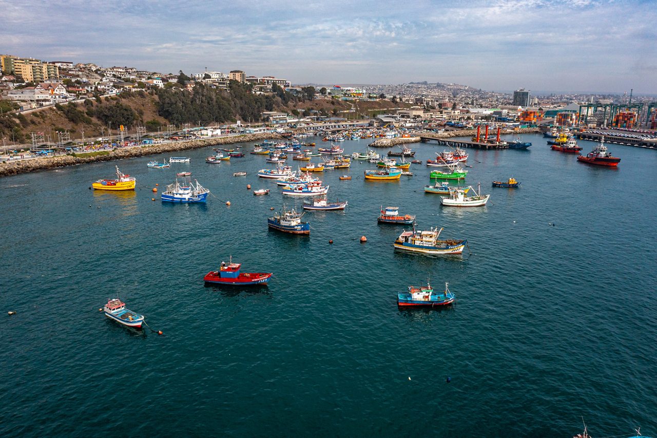 Aerial view of San Antonio, Chile, showing dozens of brightly painted fishing boats anchored in deep blue water with the city rising along the coast.