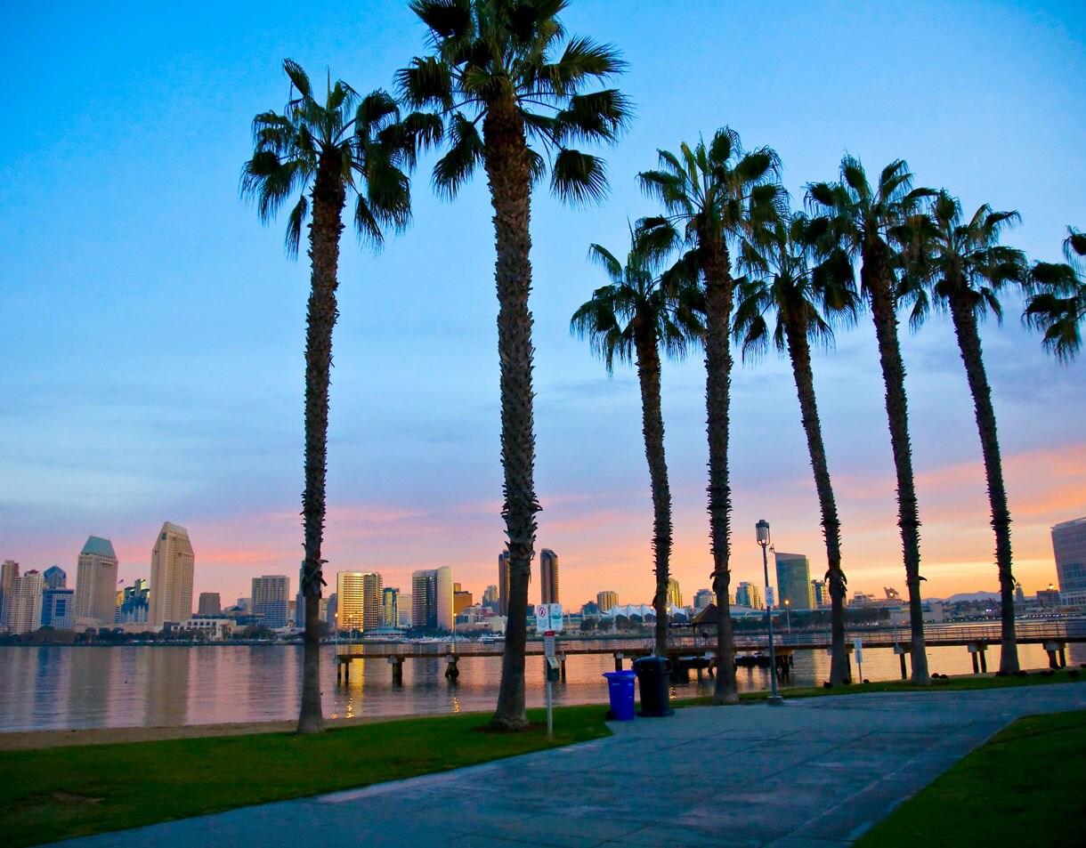 San Diego California Harbor Palm Trees Sunset