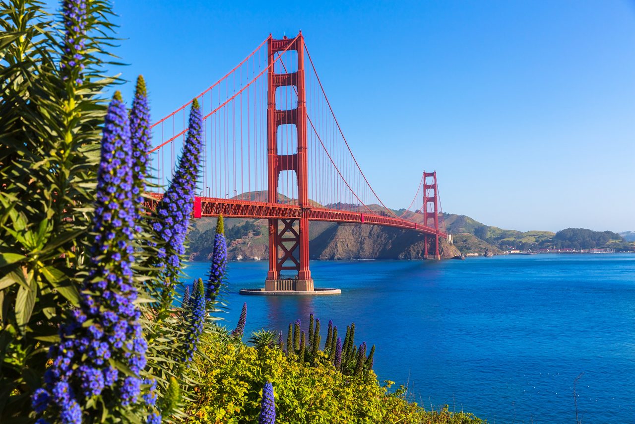 A large red suspension bridge over a body of water, surrounded by greenery and purple flowers, with a mountain range in the background and a clear blue sky.