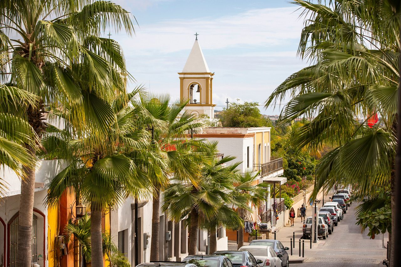 Palm trees and colonial architecture buildings, San Jose del Cabo, Mexico.