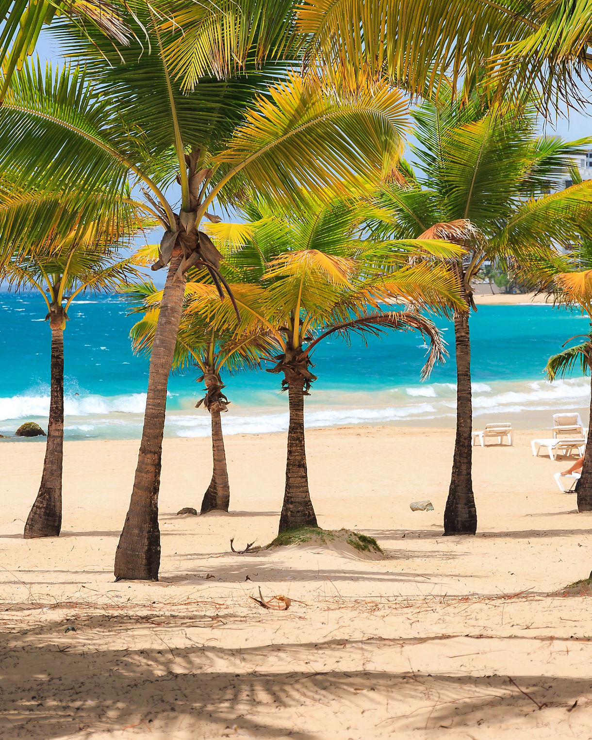 25 things to do in San Juan, Puerto Rico - Princess Cruises