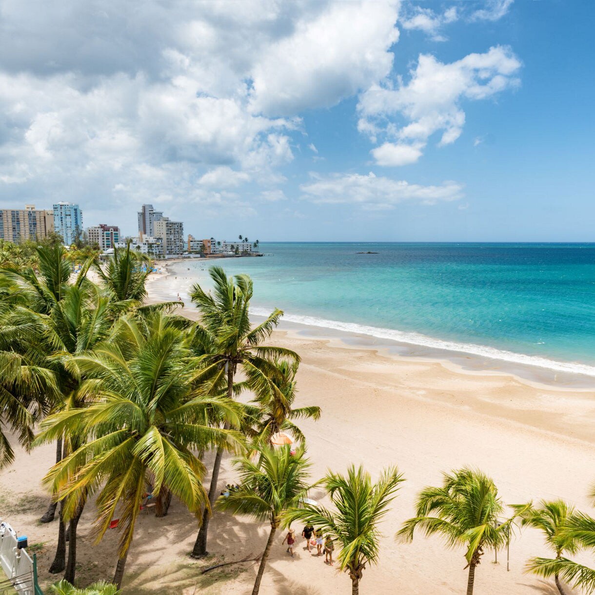Tropical beach scene with palm trees in foreground, white sand beach, and turquoise ocean with high-rise buildings in distance