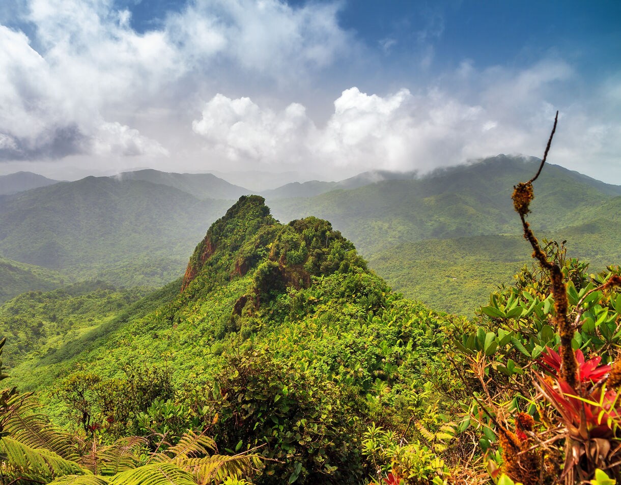 Panoramic view of El Yunque National Forest showing a steep green ridge surrounded by layers of misty, forest-covered mountains under a partly cloudy sky.