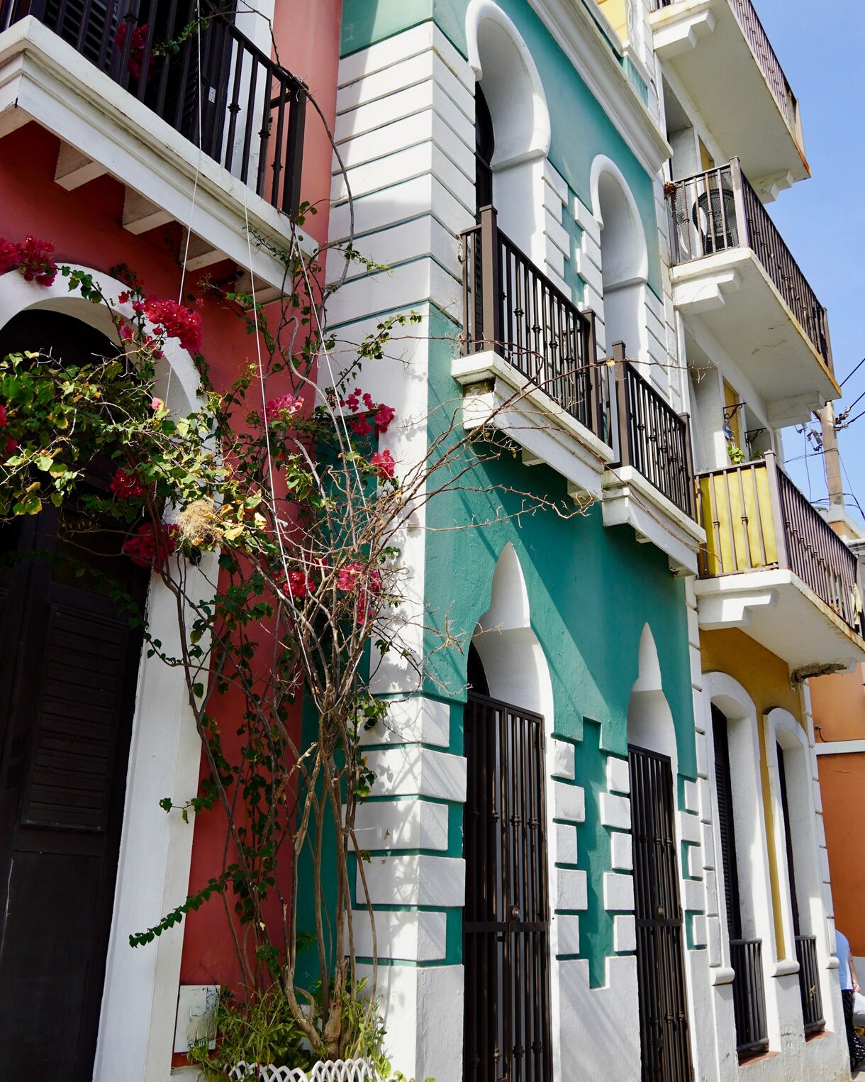 Vertical photo of colorful Old San Juan buildings painted in coral, turquoise and yellow, featuring arched windows, wrought-iron balconies and flowering vines climbing the façades.