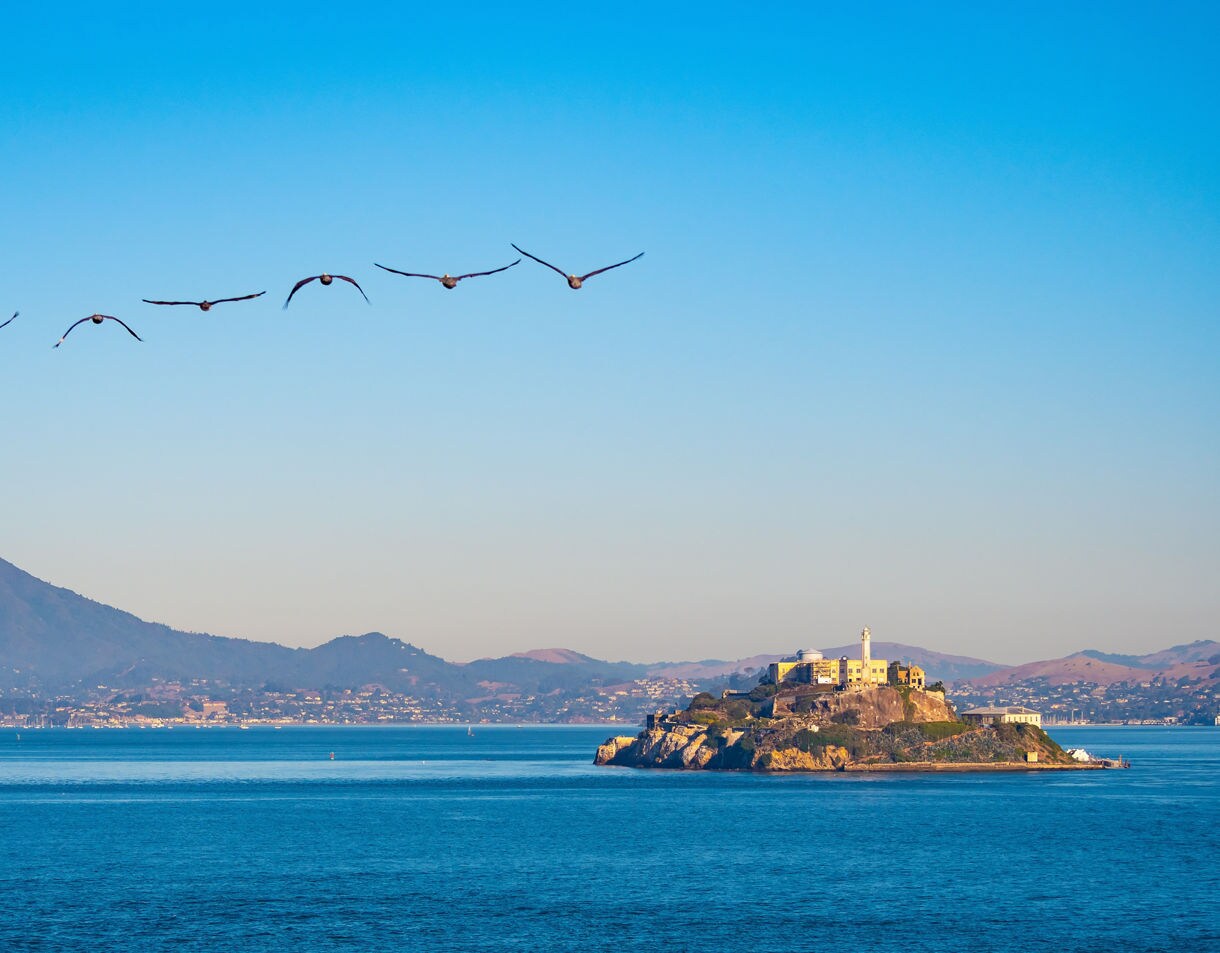 A distant view of Alcatraz Island surrounded by calm blue water with a line of birds flying overhead in a V-formation and rolling hills visible along the shoreline in the background.
