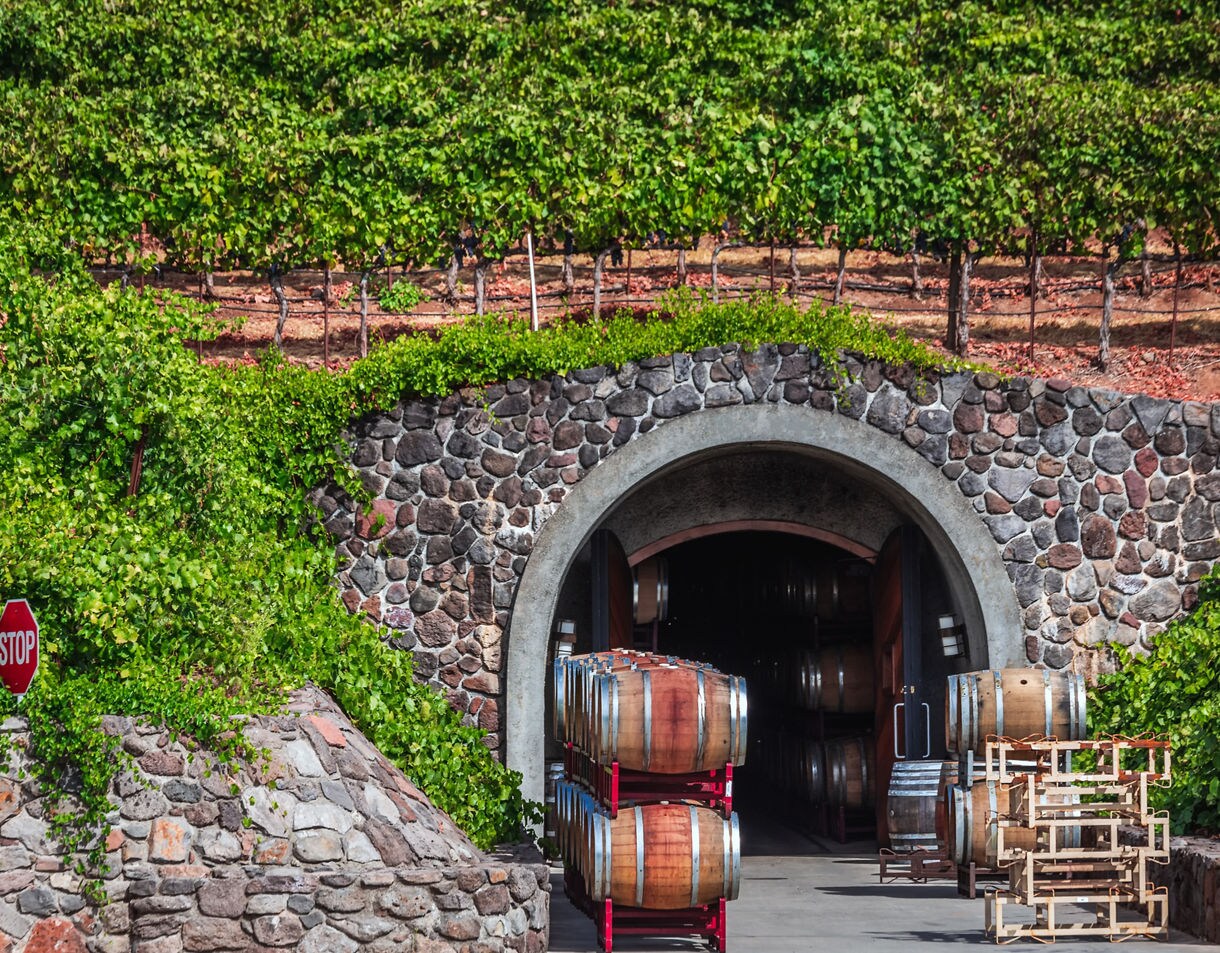 A stone-arched wine cave entrance built into a hillside vineyard with stacks of wooden wine barrels outside and rows of grapevines growing above the rocky facade.