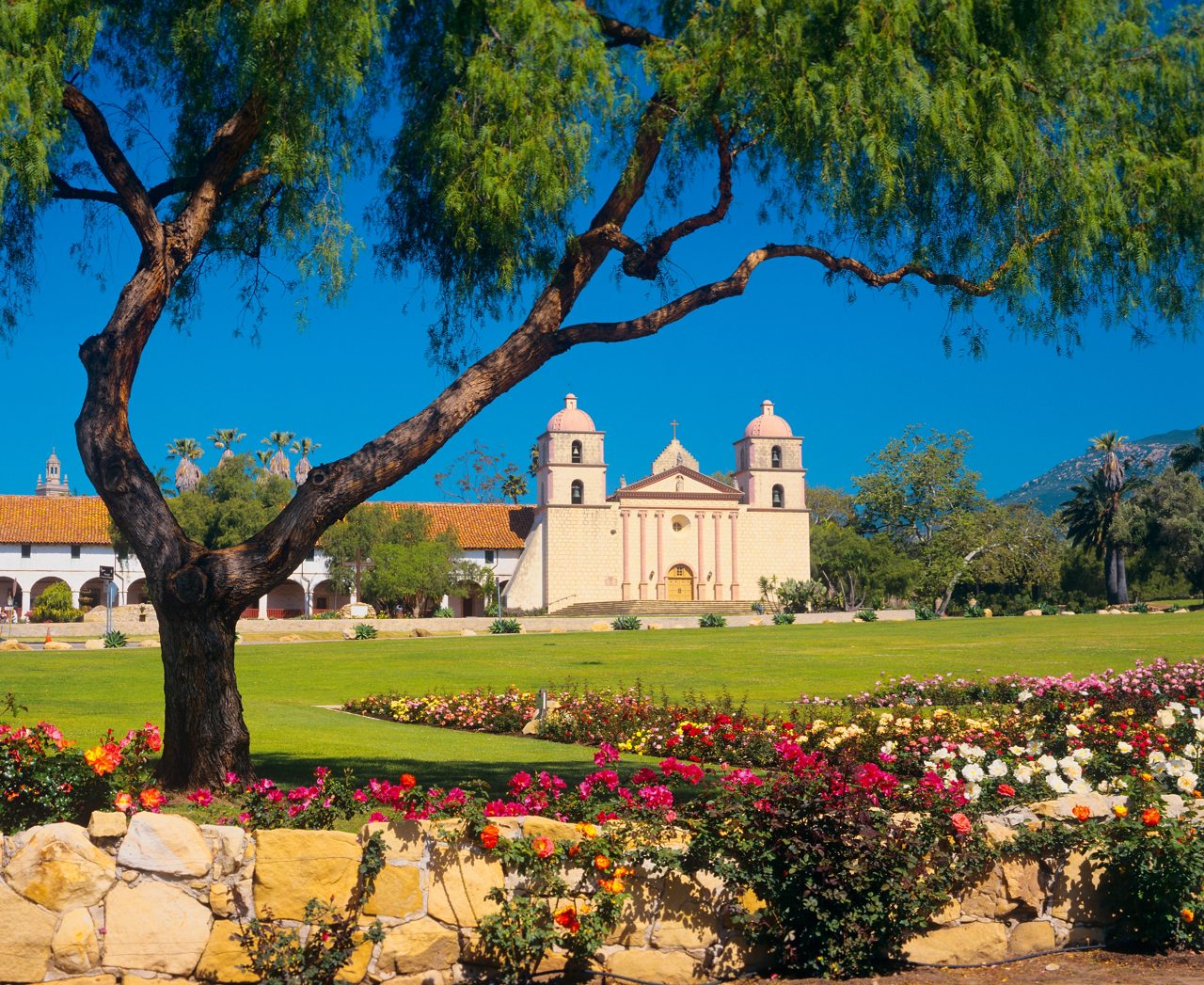 A view of Mission Santa Barbara in California, featuring its twin bell towers and light-colored stone facade, framed by a large tree and colorful flower gardens under a clear blue sky.