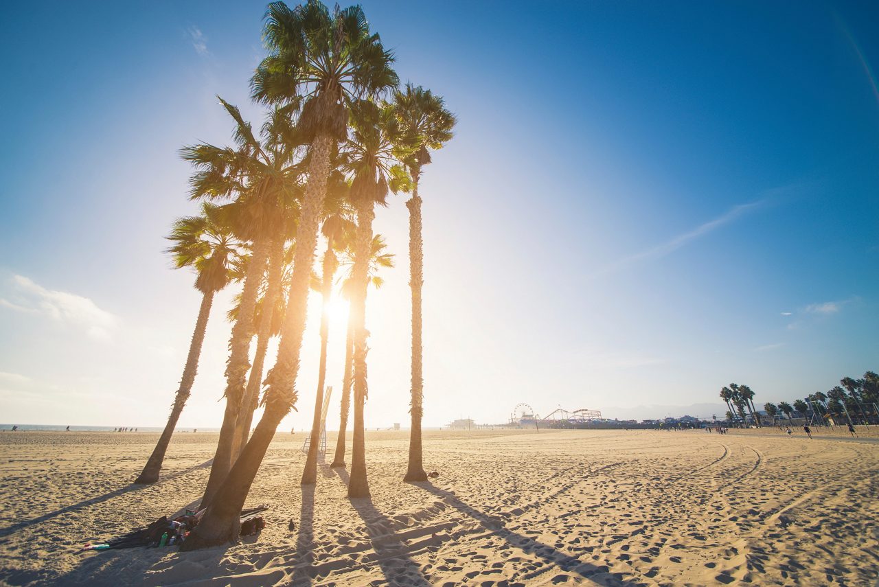 santa monica california beach palm trees