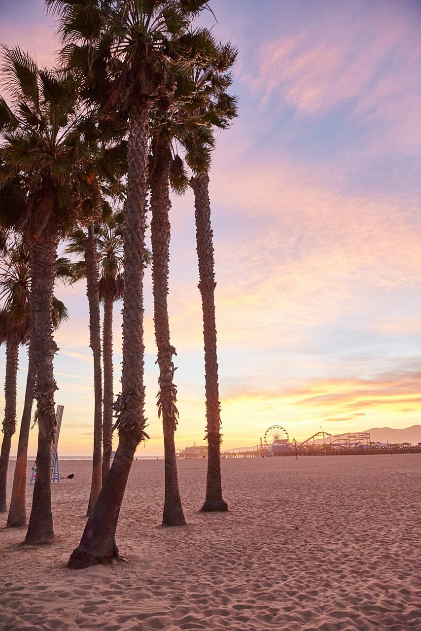 A row of tall palm trees on Santa Monica Beach at sunset, with the Santa Monica Pier and Ferris wheel in the background, under a colorful sky with hues of pink, orange, and purple.