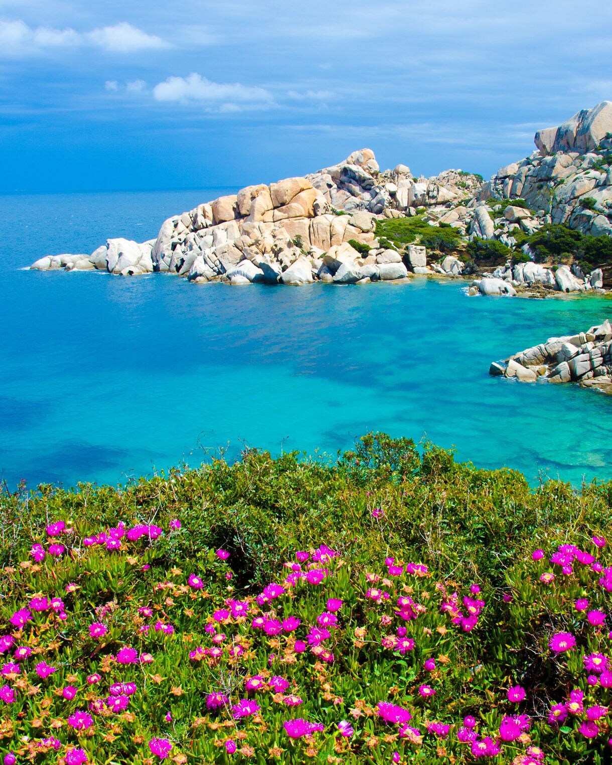 Rocky turquoise cove framed by green shrubs and vivid pink flowers under a bright sky.