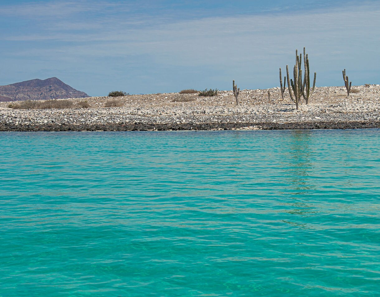 Clear turquoise water of the Sea of Cortés with a rocky desert shoreline dotted with tall cacti and distant mountains.