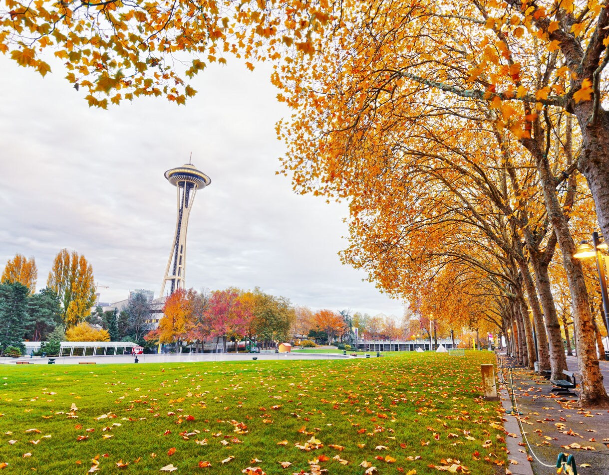 A fall scene at Seattle Center with bright orange and yellow leaves covering the ground, a long row of trees with autumn foliage on the right and the Space Needle standing in the background.