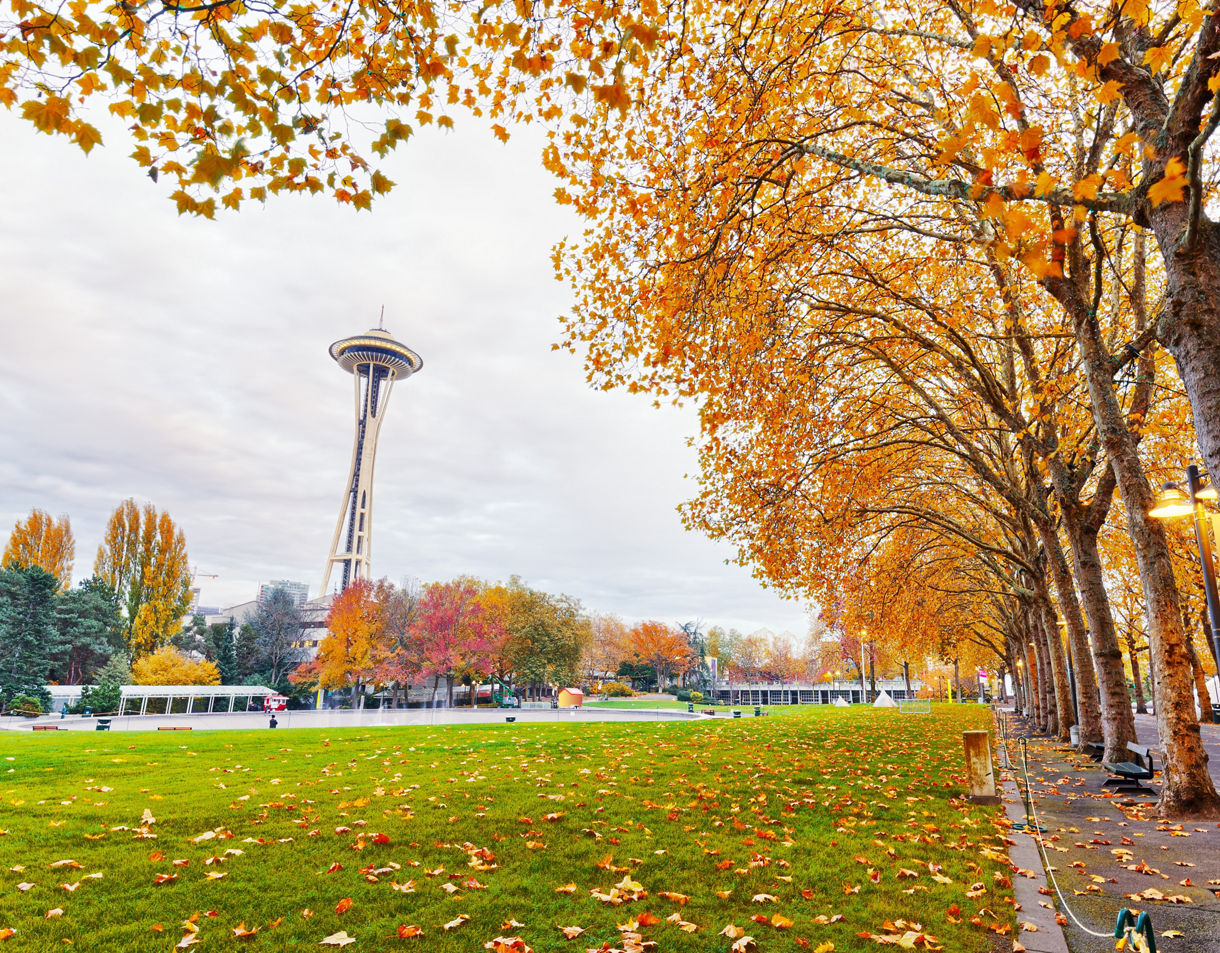 Cruises to Seattle, Washington - Princess Cruises