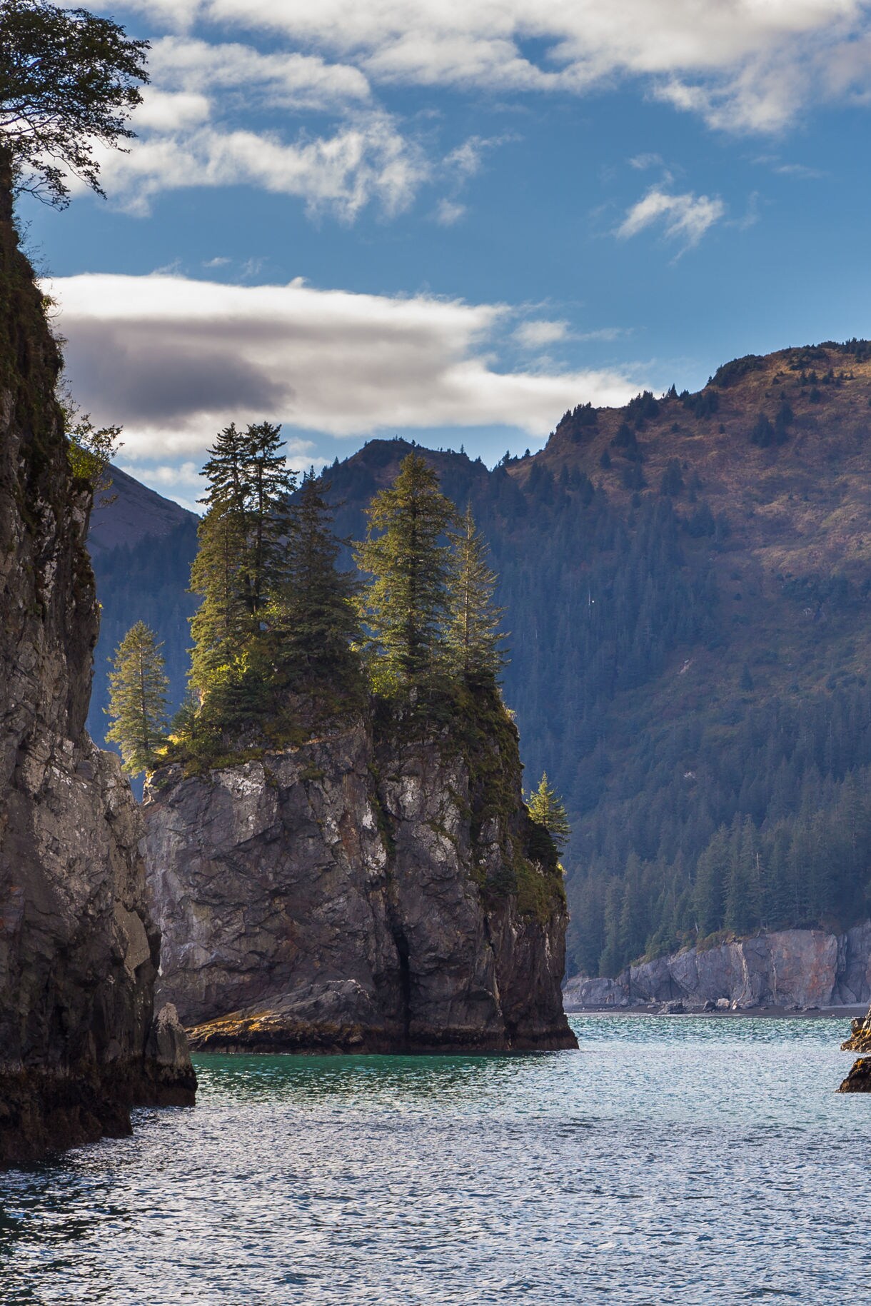 Jagged rock formations topped with evergreen trees rise from the sea in Kenai Fjords National Park, with forested mountains and a partly cloudy sky in the background.