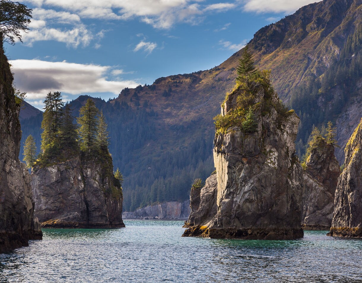 Jagged rock formations topped with evergreen trees rise from the sea in Kenai Fjords National Park, with forested mountains and a partly cloudy sky in the background.