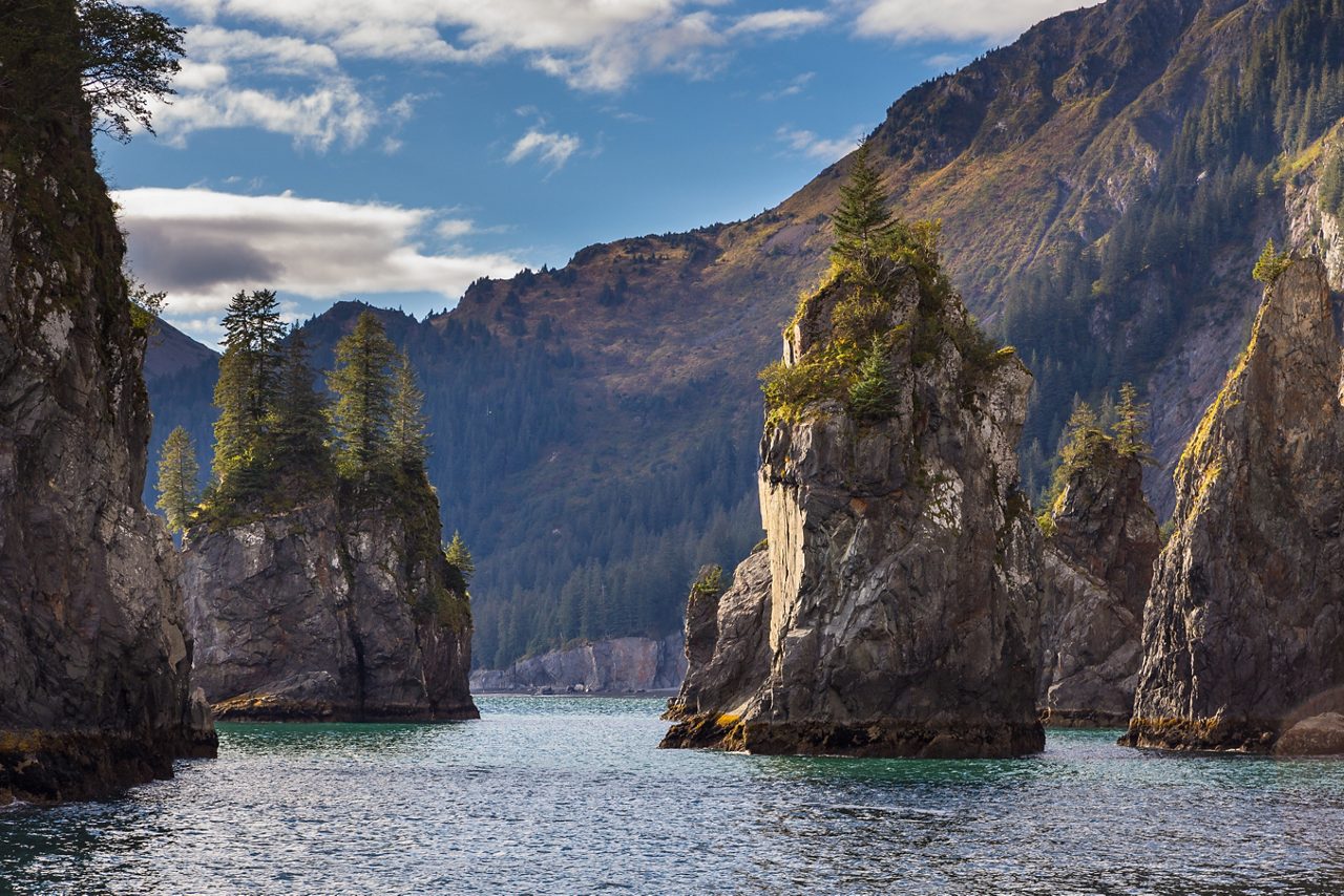 kenai fjords