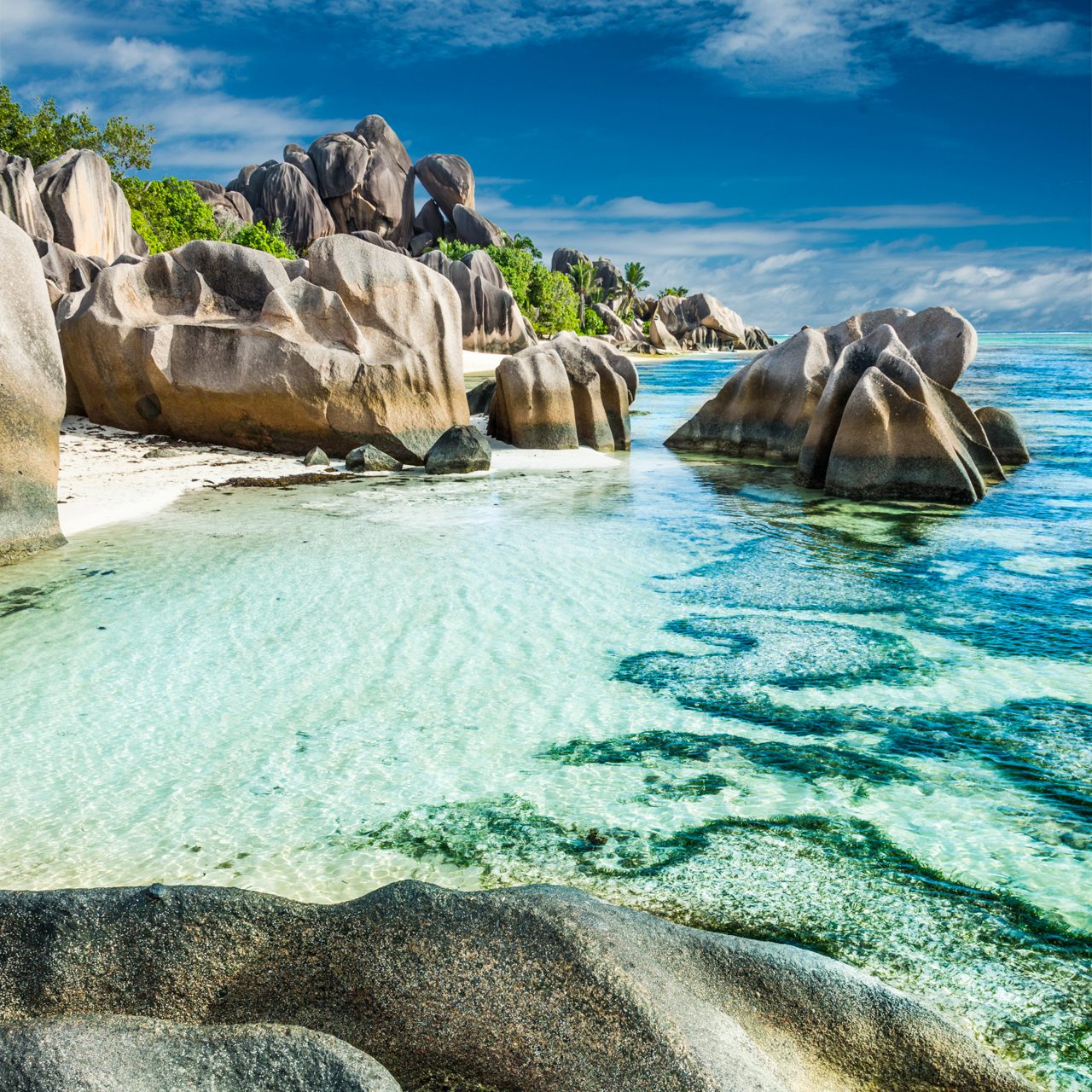 A scenic view of the Seychelles coastline with giant smooth granite boulders scattered along a pristine white sandy beach, surrounded by crystal-clear turquoise waters under a blue sky.