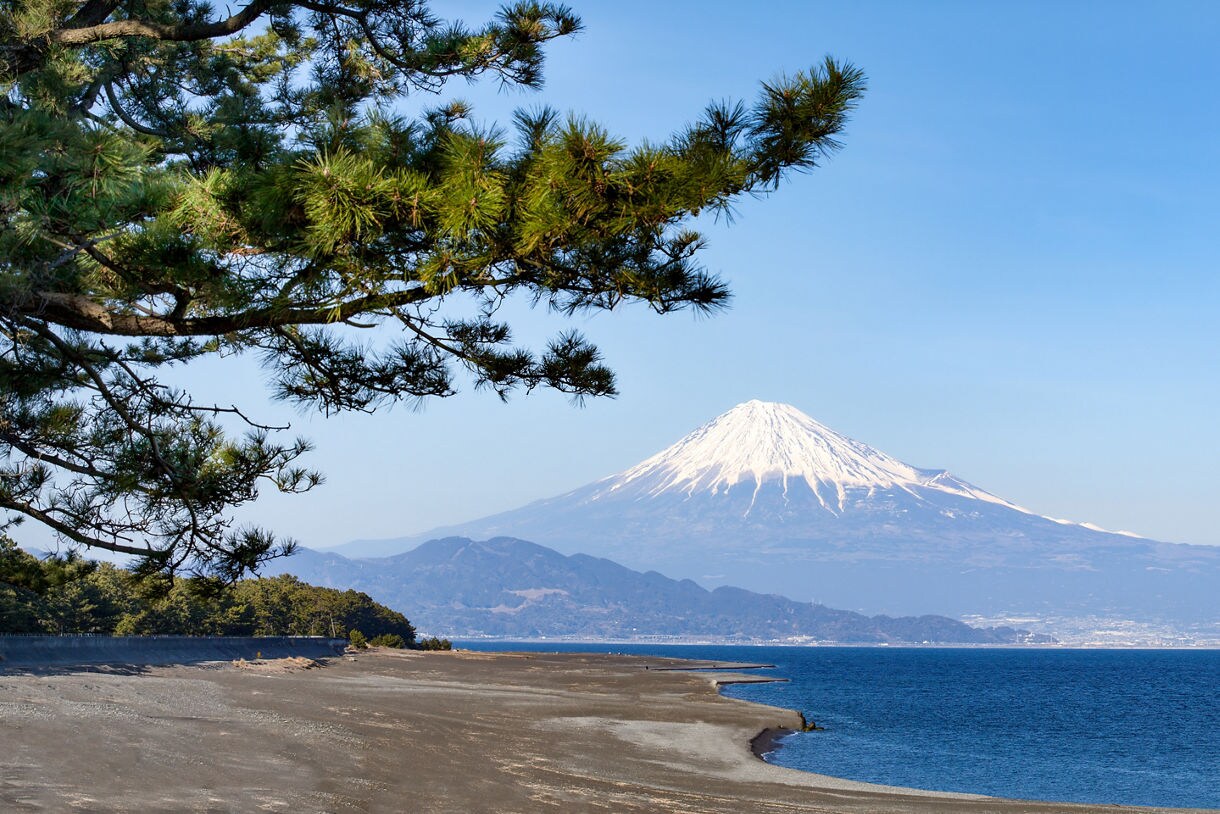 Snow-capped Mount Fuji viewed across blue water from a black sand beach lined with pine trees under a clear sky.
