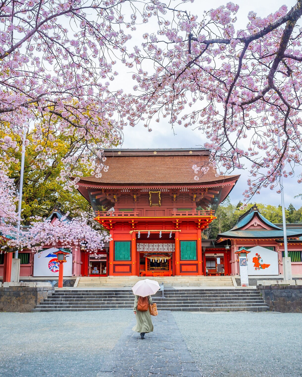 Woman with umbrella approaches a bright red shrine framed by cherry blossoms and trees at Shizuoka Sengen Shrine.