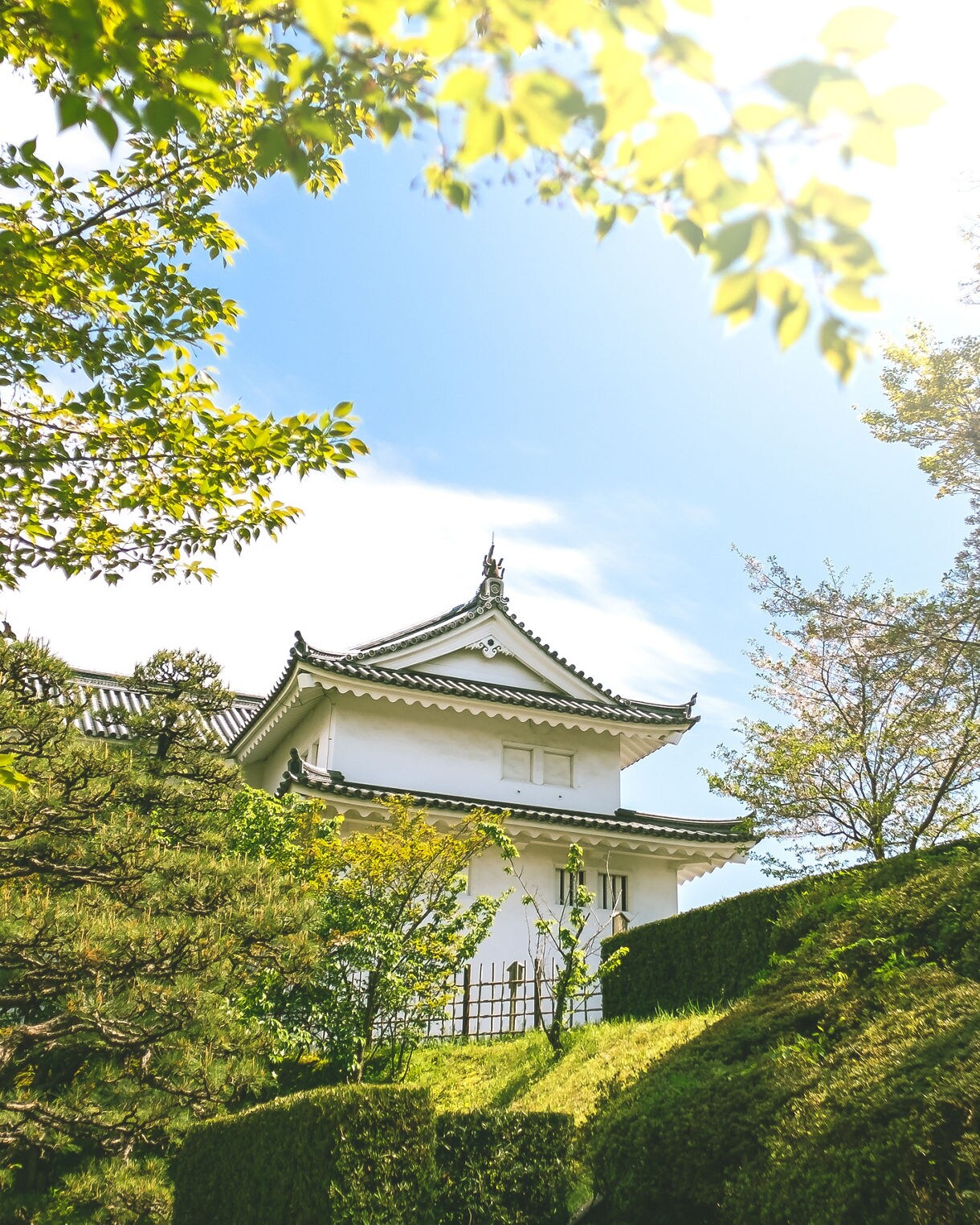 White castle tower partially hidden by lush trees and hedges, glowing in soft sunlight under a blue sky.
