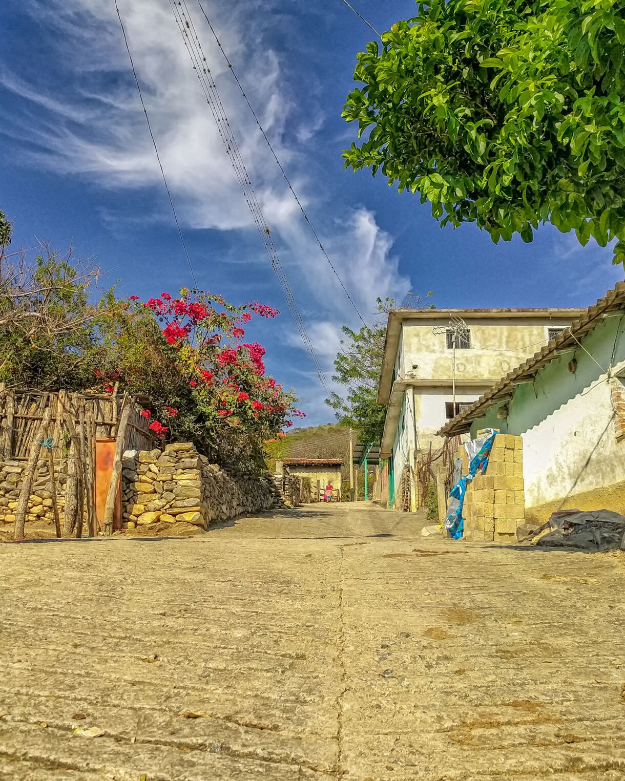 A narrow street in a Sierra Madre del Sur village with stone fences, rustic houses, flowering bougainvillea and clear blue skies overhead.