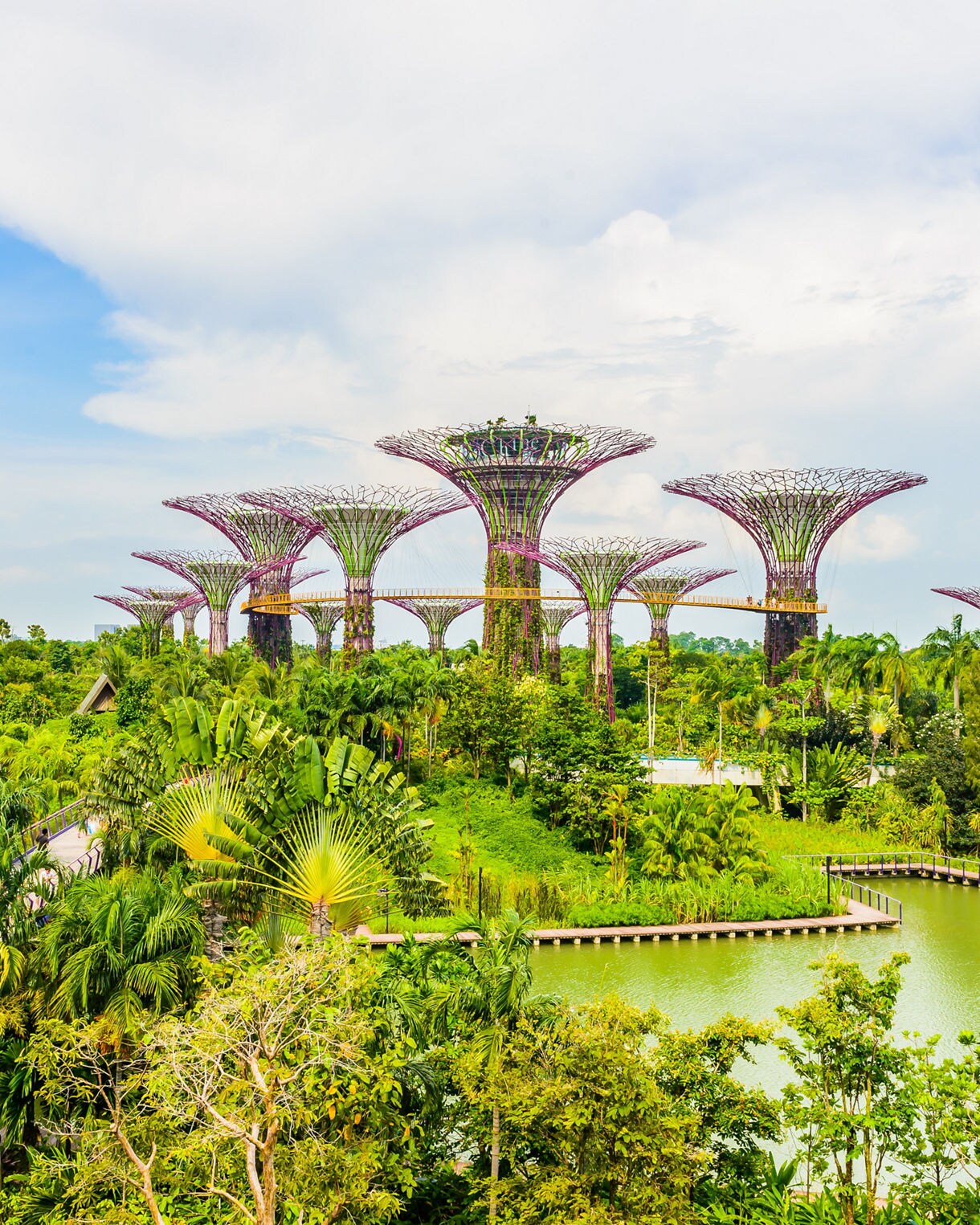 international cafe panini display