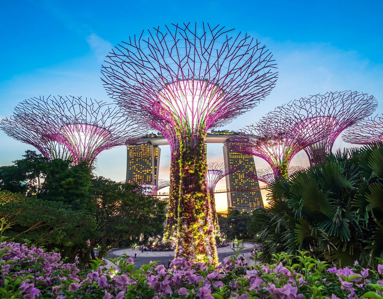 The Beautiful sunset Supertree groove at gardens by the bay with Marina Bay Sands hotel in Singapore.