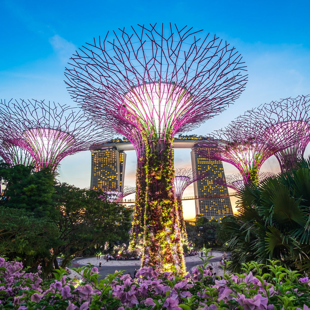Asia Cruises 2026-2028 - Princess Cruises