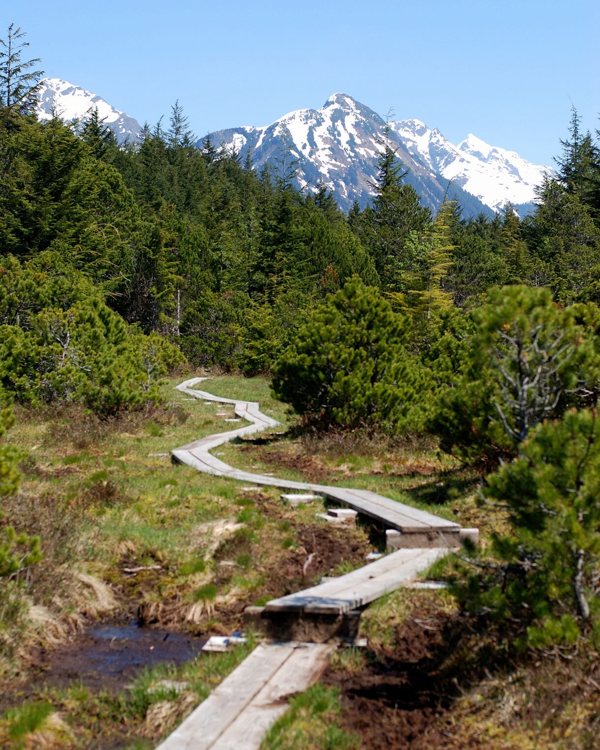 Alaska Destination
