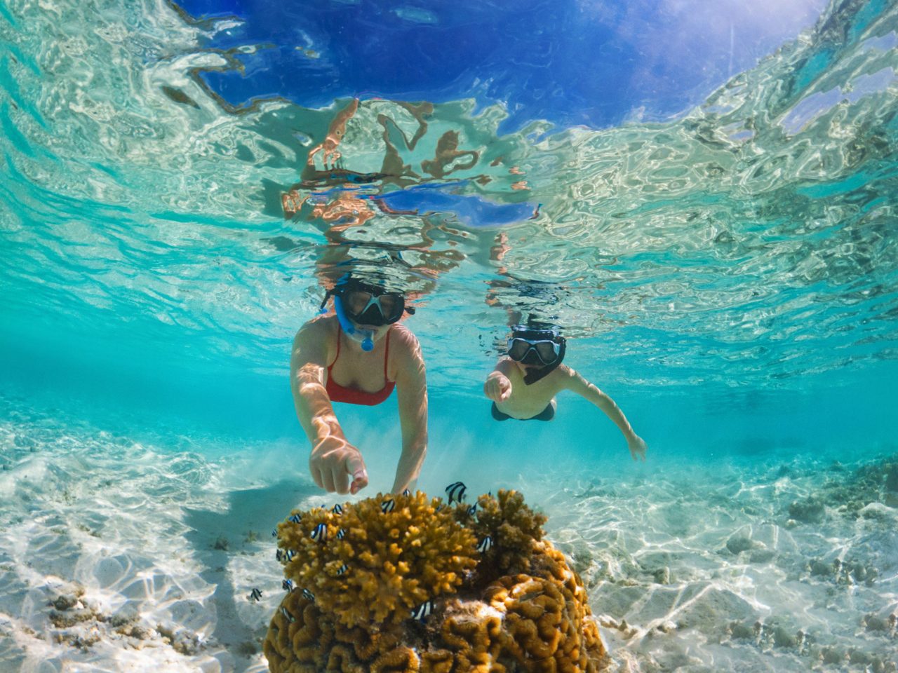 Snorkel & Scenic Coastal Cruise