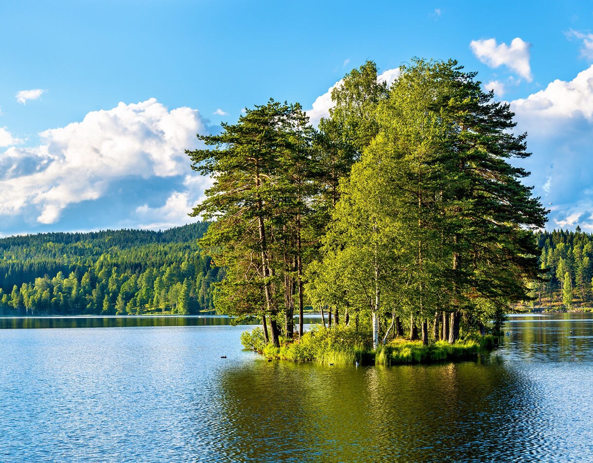 Tranquil view of Sognsvann Lake near Oslo, surrounded by lush green forest and reflecting summer sunlight on calm blue water.