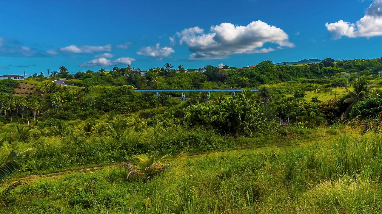 The scenic view of St. Kitts' lush landscape, with a historic railway bridge crossing through hills and greenery under a vibrant blue sky.