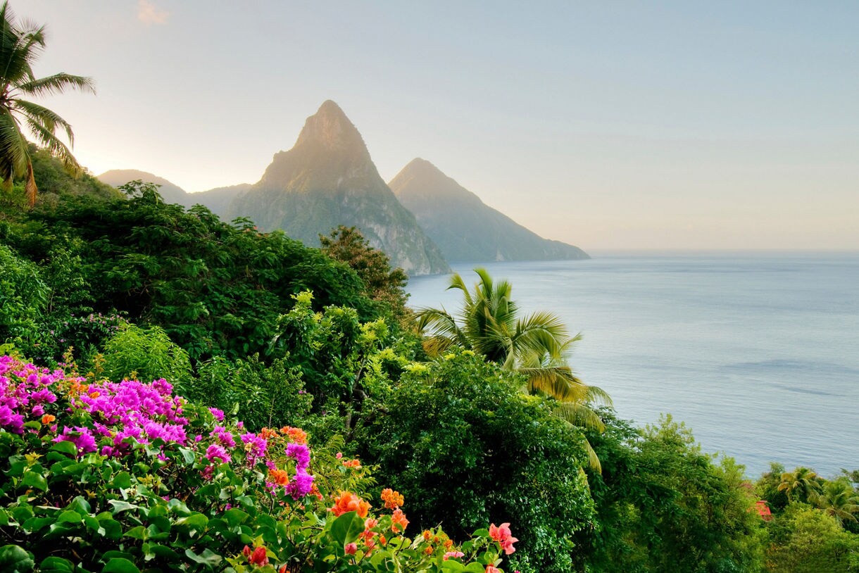 Scenic view of the Piton mountains in St. Lucia, with tropical greenery and vibrant flowers in the foreground overlooking the calm sea.