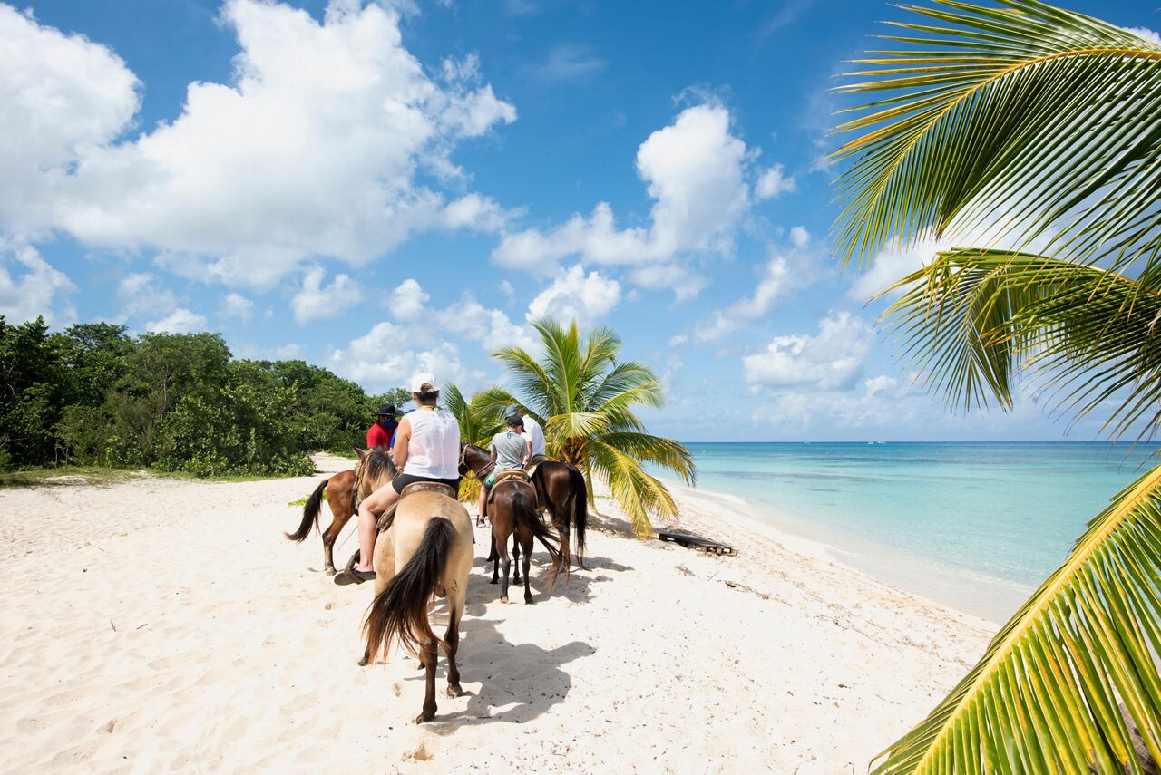 A group of people riding horses on the sandy beach of St. Maarten, with clear blue skies, turquoise water and a row of palm trees in the foreground.