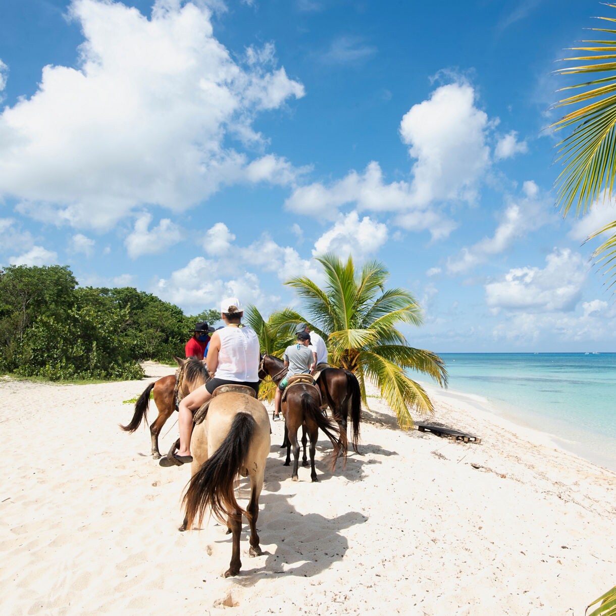 A group of people riding horses on the sandy beach of St. Maarten, with clear blue skies, turquoise water and a row of palm trees in the foreground.