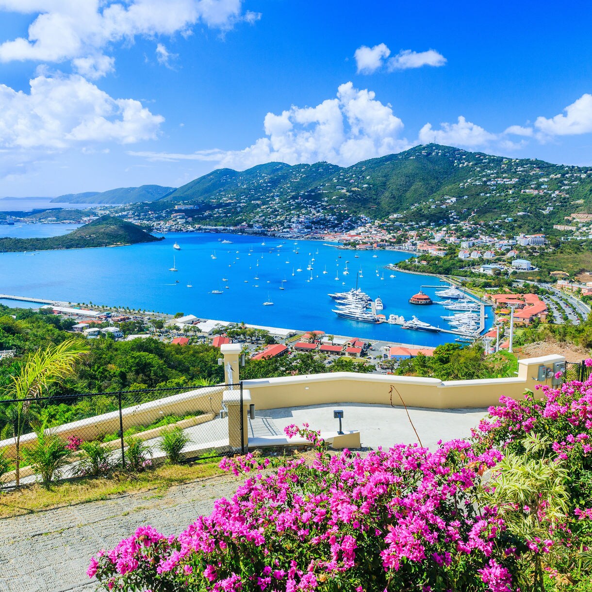 A panoramic hilltop view of Charlotte Amalie harbor in St. Thomas, with brilliant blue water dotted with sailboats and yachts, colorful buildings climbing lush green hillsides and bright pink bougainvillea blooming in the foreground.