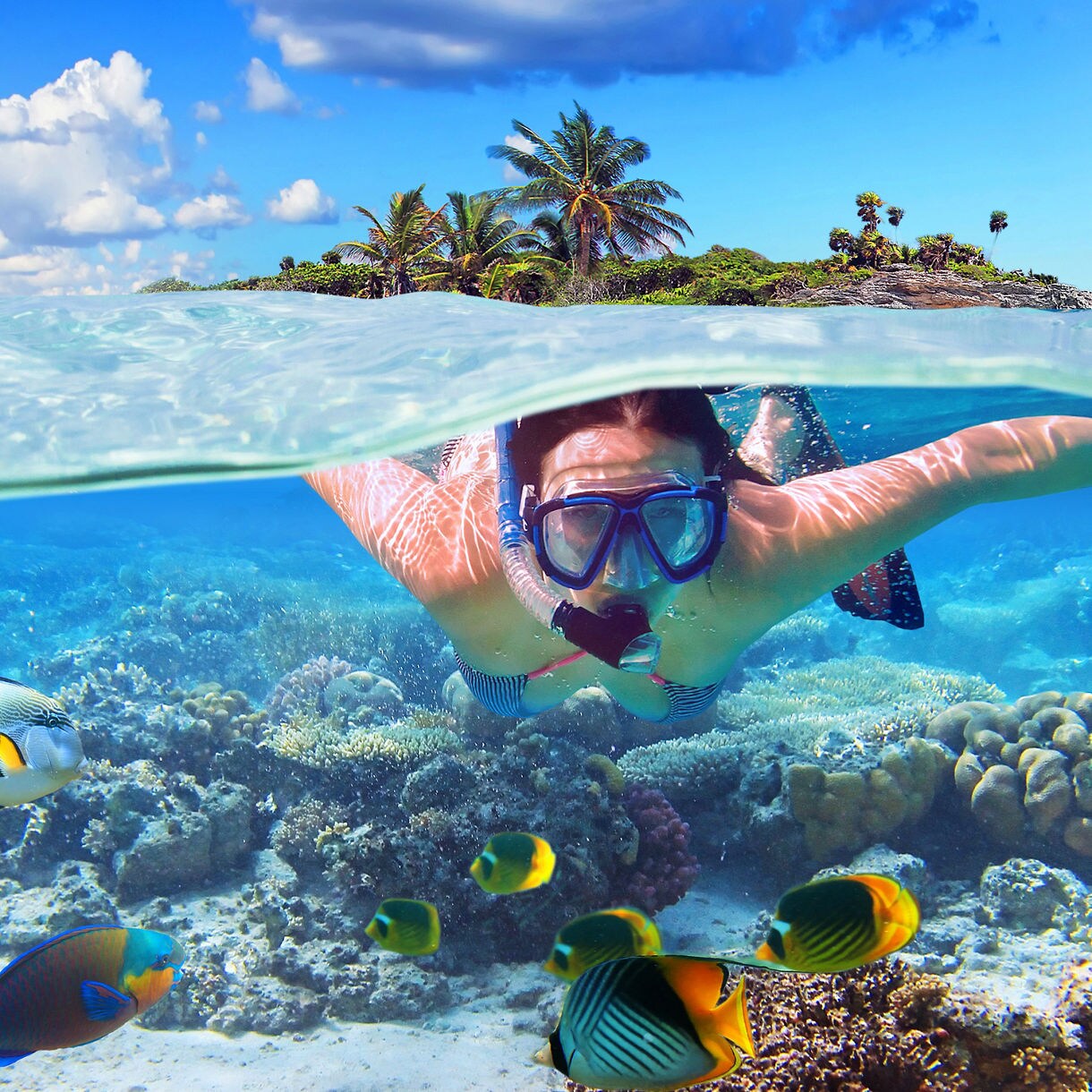 A person wearing a snorkel mask swims just below the water's surface, surrounded by colorful tropical fish and coral. The scene is split between the underwater world and a lush island with palm trees in the background. Bright sunlight and clear blue water create a lively, adventurous mood. The image captures the excitement of underwater exploration in a tropical paradise.