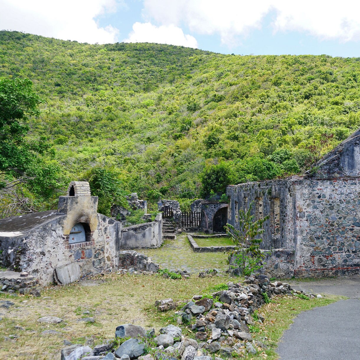 The stone ruins of an old plantation in the Virgin Islands National Park on St. Thomas, with a partially intact oven and crumbling walls, set against the backdrop of vibrant green hills and tropical vegetation.
