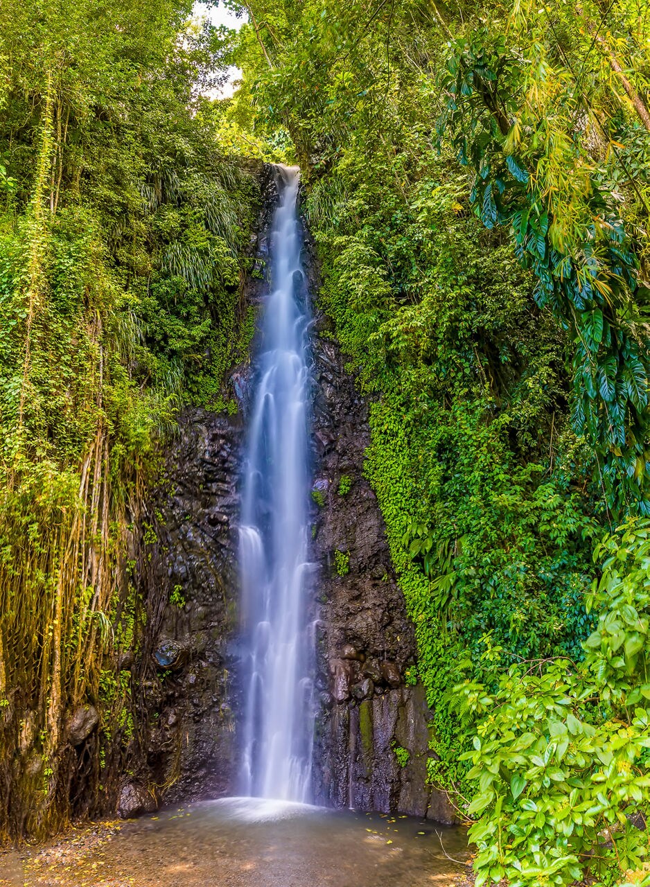 Tall, narrow waterfall cascading down a rocky cliff surrounded by dense green rainforest vegetation in St. Vincent.